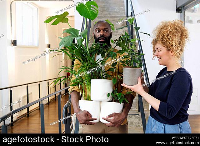 Female colleague stacking potted plants on helping businessman