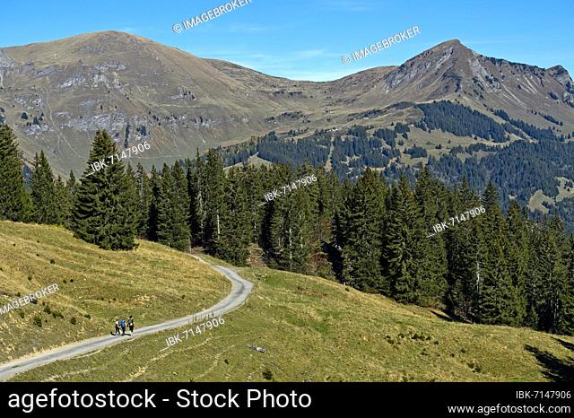 Hikers in the hiking area of Les Diablerets near the village of Les Diablerets, Ormont-Dessus, Vaud Alps, Vaud, Switzerland, Europe