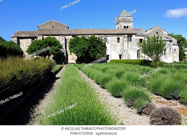 France, Provence Alpes Cote d'Azur, department of Bouches du rhone, Alpilles area, Saint Remy de Provence, Saint Paul de Mausole monastery and hospital