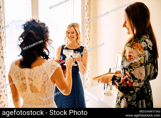 Female friends toasting drinking glass in domestic room