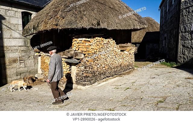 Traditional Horreo with teak roof and wood stacked to prevent it from getting wet in Piornedo de Ancares. The Ancares. Lugo. Galicia. Spain