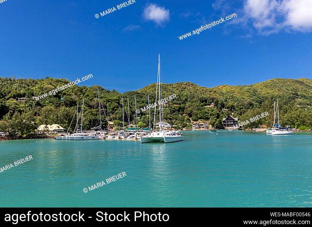Seychelles, Praslin Island, Sailboats moored in marina