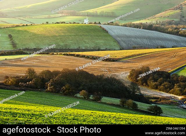 Winter morning in South Downs National Park, East Sussex, England
