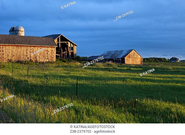 A weathered barn in sunset light in the countryside of Mount Pleasant, Michigan, USA