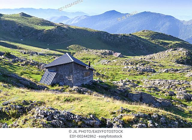 Shepherd flocks in Belagua Near Arette The Roncal Valley Navarre Spain