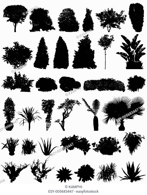 plants silhouettes set
