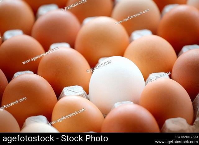 A white chicken egg among many yellow eggs lies on a cardboard box. A special egg, different from the others
