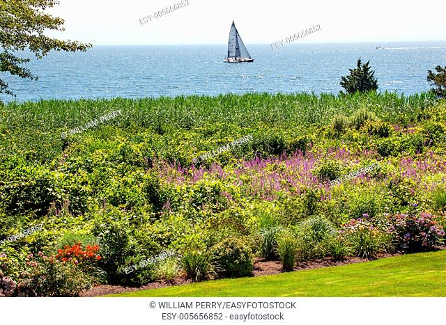 Padnaram Summer Flowers, Grass, Sailboats, Buzzards Bay Dartmouth Masschusetts