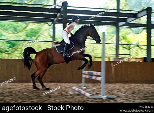 Riding a horse jump barrier bar young woman