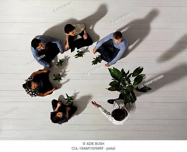 Group of people on floor with plants