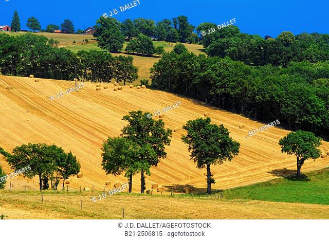 Summer landscape after harvest, at Saint Constant, Cantal, Auvergne, France