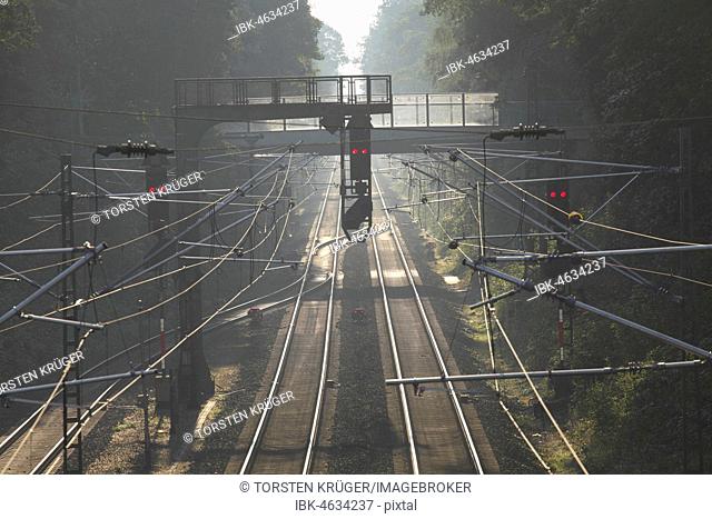 Railroad tracks with signals in morning fog, Germany