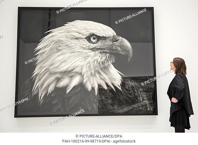 14 February 2018, Germany, Hamburg: A visitor ..looks at the exhibited art work 'Untitled (American Bald Eagle)' by artist Robert Long during a press tour of...