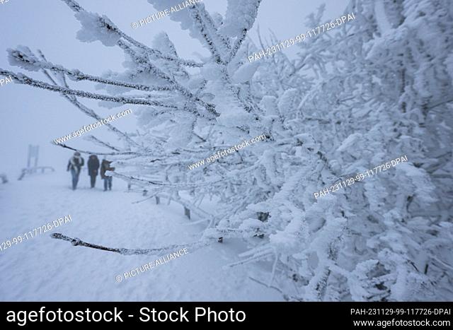 29 November 2023, Hesse, Glashütten: Walkers cross the Feldberg plateau in temperatures well below freezing. Today, light snowfall will continue at times from...