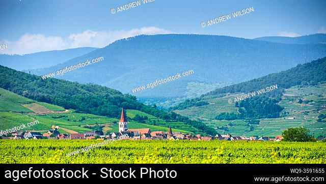 The village of Ammerschwihr, Alsace, France - surrounded by vineyards with the Vosges Mountains in the distance