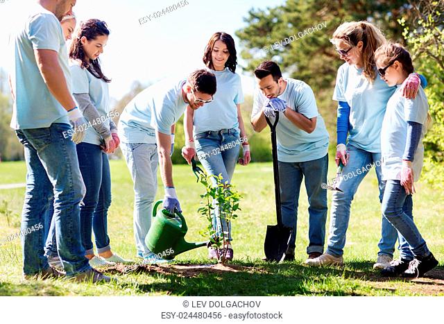 volunteering, charity, people and ecology concept - group of happy volunteers planting and watering tree with can in park
