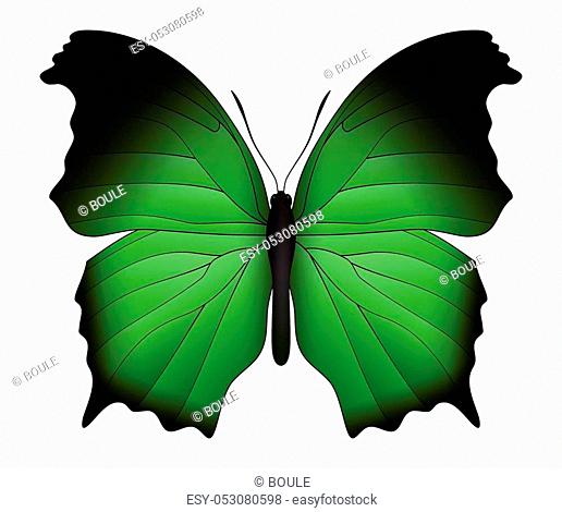 Beautiful butterfly isolated on a white background. Salamis or mother of pearls butterfly. 3D illustration