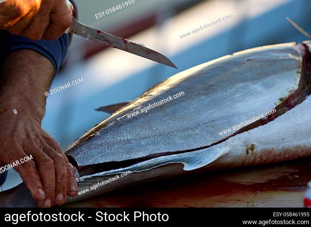 Fishermen cleaning and filleting a fresh caught saltwater fish