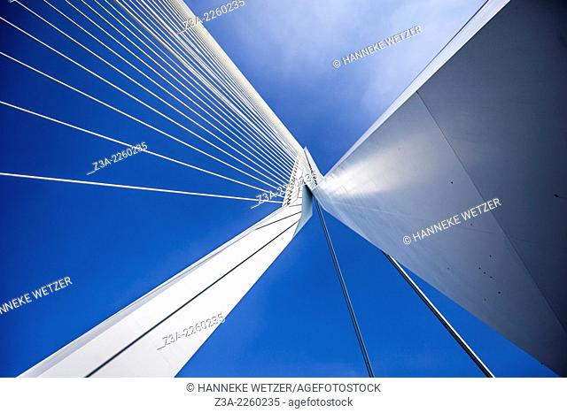 Erasmus Bridge (Dutch: Erasmusbrug) is a cable-stayed bridge across the Nieuwe Maas, linking the northern and southern regions of Rotterdam, Netherlands
