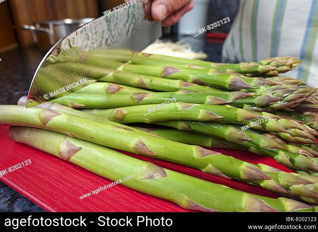 Swabian cuisine, cutting off the ends of asparagus, preparing Pfitzauf with asparagus salad and honauforelle, green asparagus, vegetables, healthy cuisine