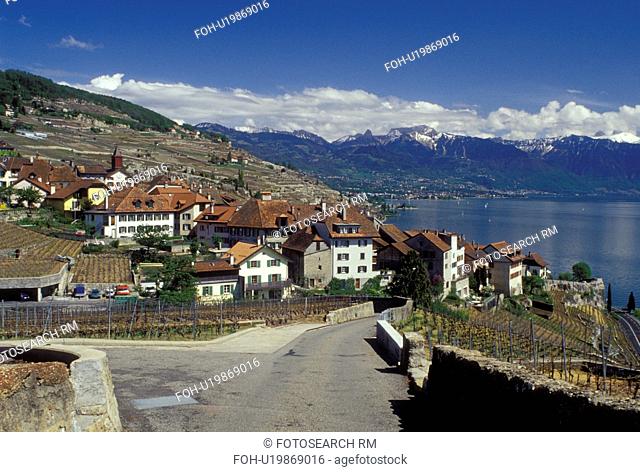 Lavaux, Switzerland, Vaud, Lake Geneva, Alps, Europe, Narrow road leads down to the picturesque village of Rivaz surrounded by vineyards along the lakeshore of...