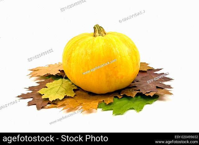 pumpkin and autumnal leaves