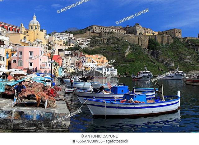 Italy, Campania, Procida Island, Marina di Corricella harbour