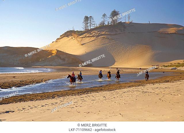 Rider , Sand beach , Cape Kiwanda , Pacific-City , Pacific-Coast , Oregon , U.S.A. , America