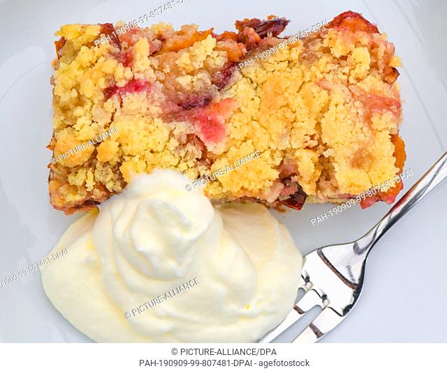 08 September 2019, Brandenburg, Sieversdorf: A piece of freshly baked plum cake with sprinkles and whipped cream lies on a plate