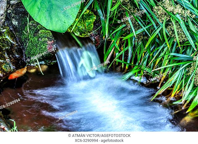 water spring in Los Lavaderos park in El Sauzal municipality (Tenerife island)