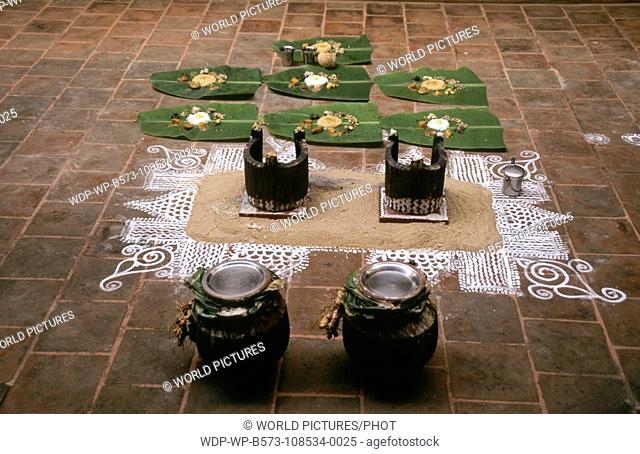South India- Tamil Nadu Pongal Festival - Ceremonial Rice Dish on Palm Leaf Plate Pongal festival falls in the month of January