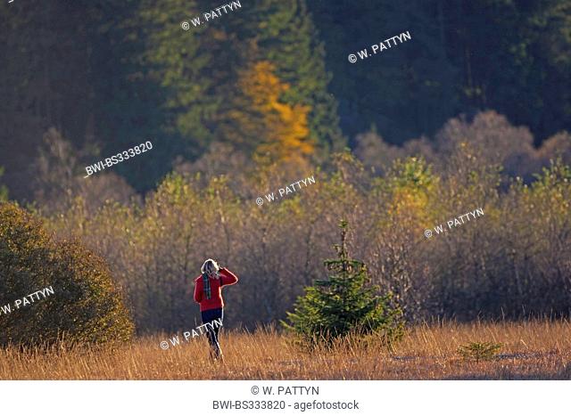 woman walking in autumn landscape, Belgium, Ardennes