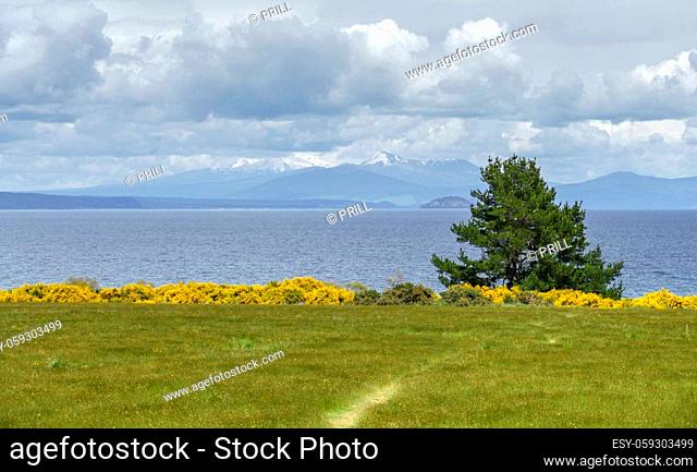Sunny scenery at Lake Taupo on the North Island of New Zealand
