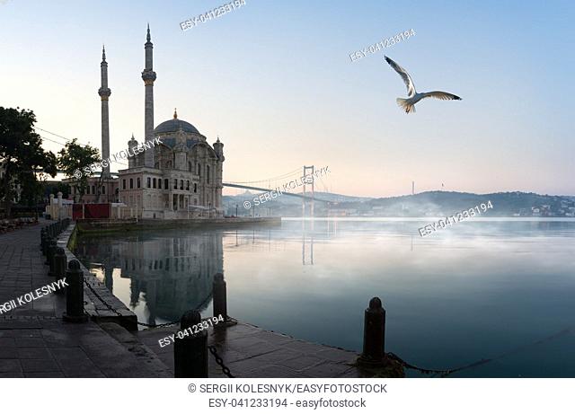 Ortakoy Mosque and Bosphorus in Istanbul at early morning, Turkey