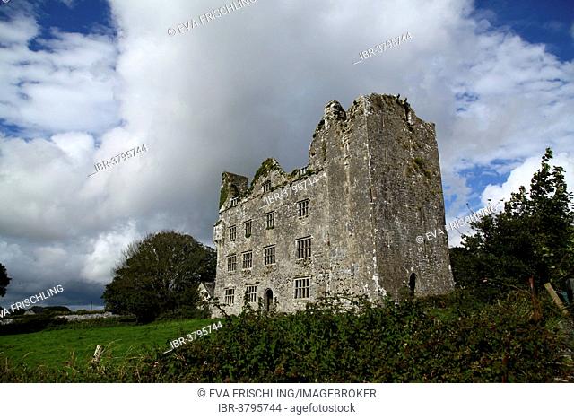 Ruin of Leamaneh Castle, Burren, County Clare, Ireland