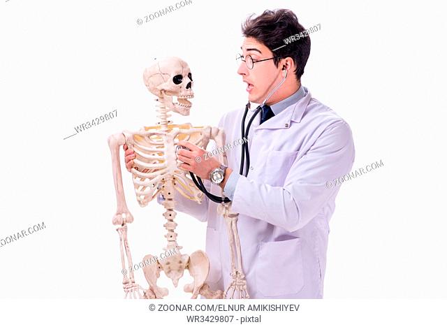 Young doctor with skeleton isolated on white