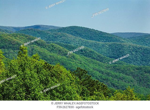 Mountains in the Cherokee National Forest, TN