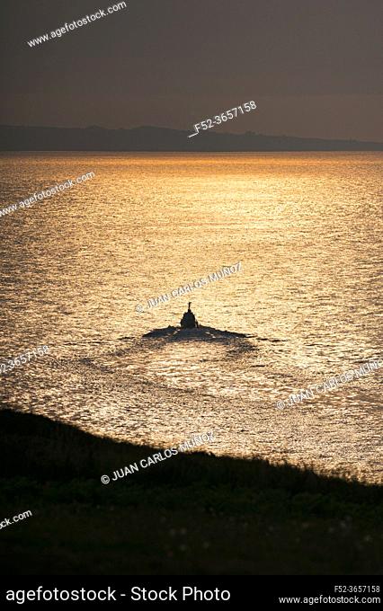 Fishing boat fishing in the Cantabrian Sea. Ajo, Bareyo Municipality, Cantabria, Cantabrian Sea, Spain, Europe