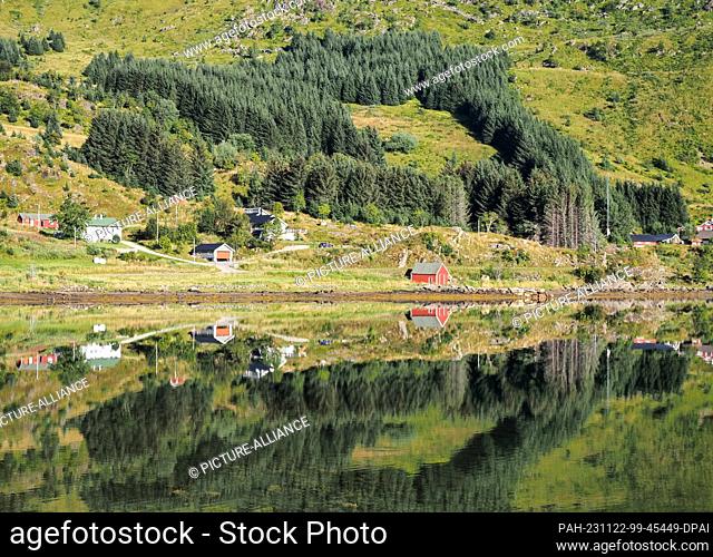 26 August 2023, Norway, Leknes: View over a lake to green hills during a hike in the mountains near Leknes. Photo: Soeren Stache/dpa