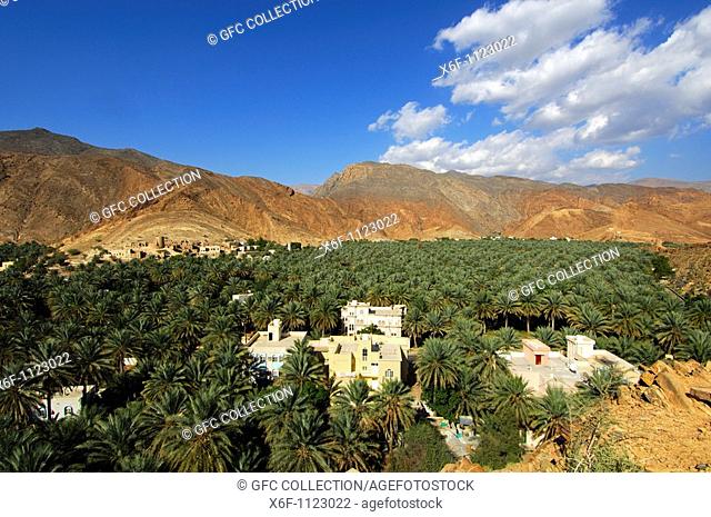 Plantation of date palm trees at the foot of the barren Hajar mountains, Wilayat of al Hamra, Sultanate of Oman