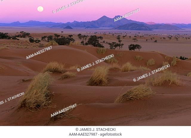 Moonrise in Desert, Mountains, Dunes, Grass, Namib Desert, Namibia