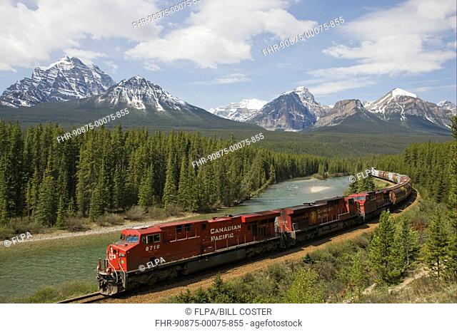 Canadian Pacific railway train travelling along track, with range of mountains in background, Bow Range, Morants Curve, Banff N P , Rocky Mountains, Alberta
