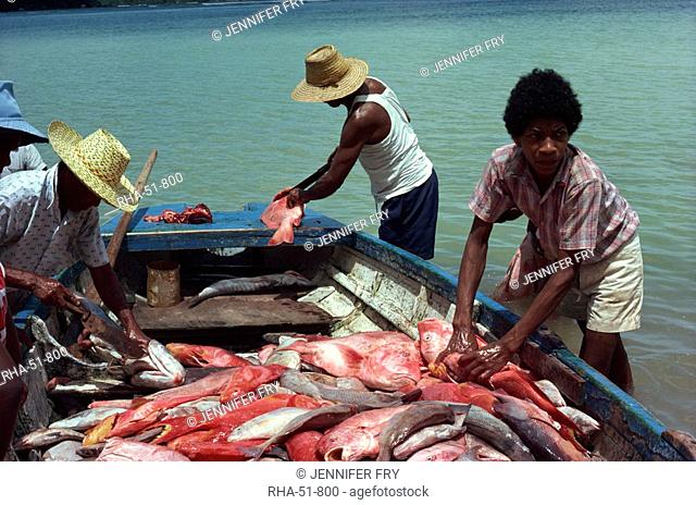 Fishermen gutting catch, Anse Boileau, Mahe, Seychelles, Indian Ocean, Africa