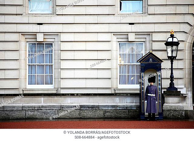 Guard at Buckingham Palace, London. England, UK
