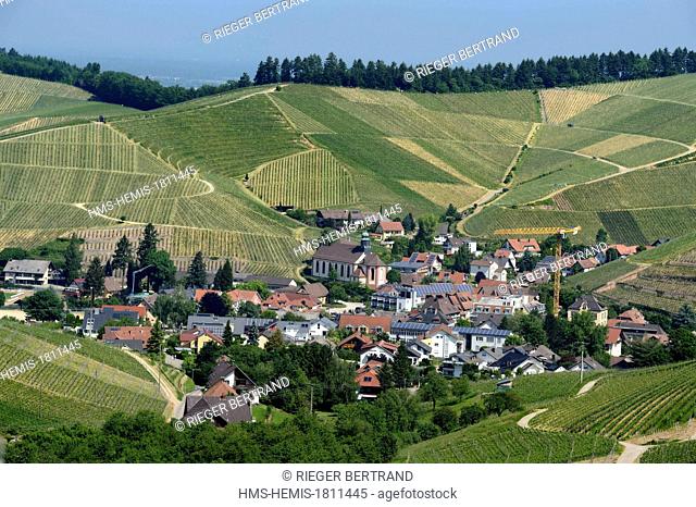 Germany, Baden Wurttemberg, Durbach vineyard