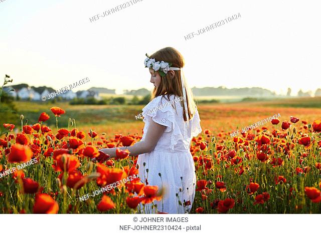 Rear view of girl standing in poppy meadow