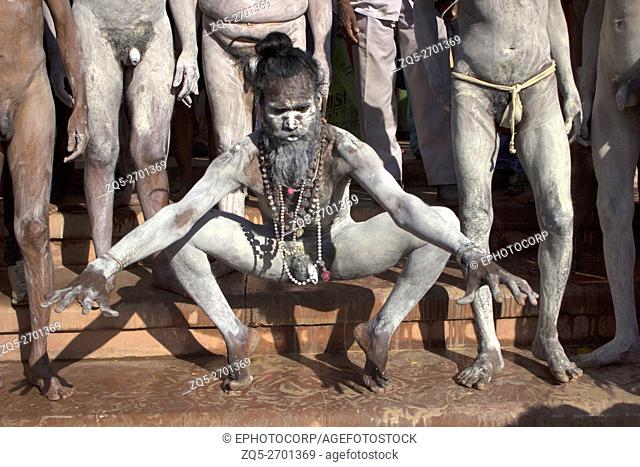 Naked Naga sadhus covered in ash performing yogic pose. Ujjain, Madhya Pradesh, India