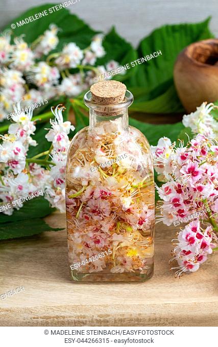 A bottle filled with horse chestnut blossoms and alcohol, to prepare homemade tincture