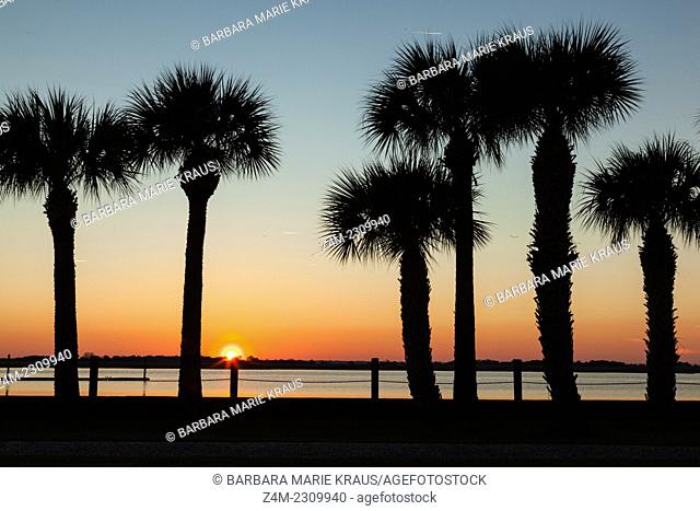 The sun sets behind a row of palm trees on Jekyll Island, GA, USA