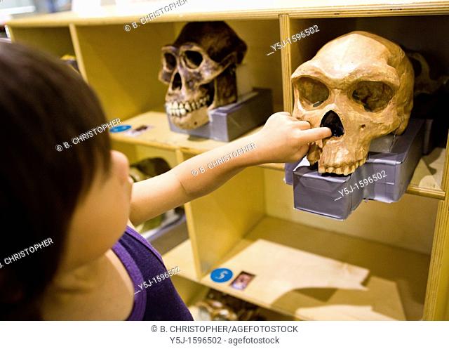 A small boy reaches out to inspect an ancient human skull bone in a class room
